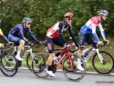 Van der Poel duidt naast Alaphilippe nog andere kanshebber aan: "Ik denk dat hij goed in vorm zal zijn"