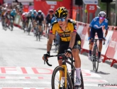 Primoz Roglic laat zich uit over groene dromen Wout van Aert