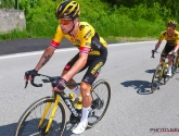 Analist merkt iets op bij Primoz Roglic: "Heel kleine tekenen vertoonden dat er wat was"