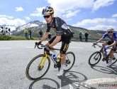 Met Tour de France in aantocht opnieuw niets dan lof voor de klimmer in Van Aert: "Wout deed een goede beurt"