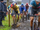 Paul Herygers maakt zich zorgen na eerste cross Van Aert: "Geen groot succes"