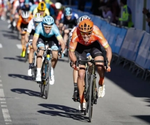 Van Avermaet legt laatste hand aan voorbereiding op klassiekers: "Ik hoop er nog overwinning bij te doen"