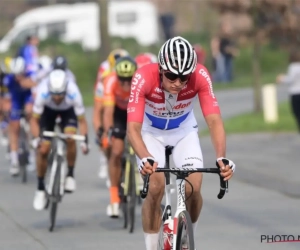 Tafi vol lof over Van der Poel, Museeuw lyrisch: "Wout en Mathieu bewijzen het tegendeel"