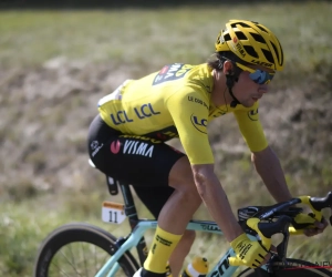 Roglic en Dumoulin hebben nog een ferm doel voor 2020 en gaan voor eerherstel