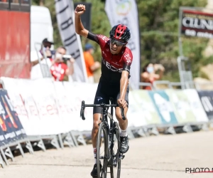 Schitterend één-tweetje voor Ineos op de Ventoux: "De strategie was dat ik of Egan Bernal zou aanvallen"