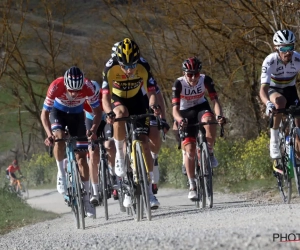 "Grootste probleem voor iedereen in Milaan-Sanremo is Van der Poel en Van Aert"