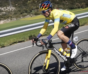 Van toewijding gesproken: halve dag na zege in Baskenland zit Roglic al ... tijdrit Tour de France te verkennen in hondenweer