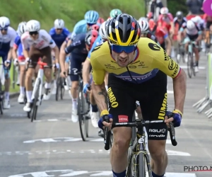 VOORBESCHOUWING: trekt Primoz Roglic opnieuw aan het langste eind in Luik-Bastenaken-Luik? En wat kunnen wereldkampioen Alaphilippe en Pogacar? 