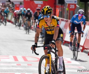 Primoz Roglic laat zich uit over groene dromen Wout van Aert