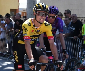 Primoz Roglic klaagt over fysieke problemen na een val: "Ik ben blij dat ik de andere favorieten kon volgen"