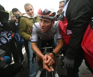 📷 Hoe intens is dat? Afgepeigerde Mathieu van der Poel en zijn Roxanne beleven prachtig moment in Oudenaarde