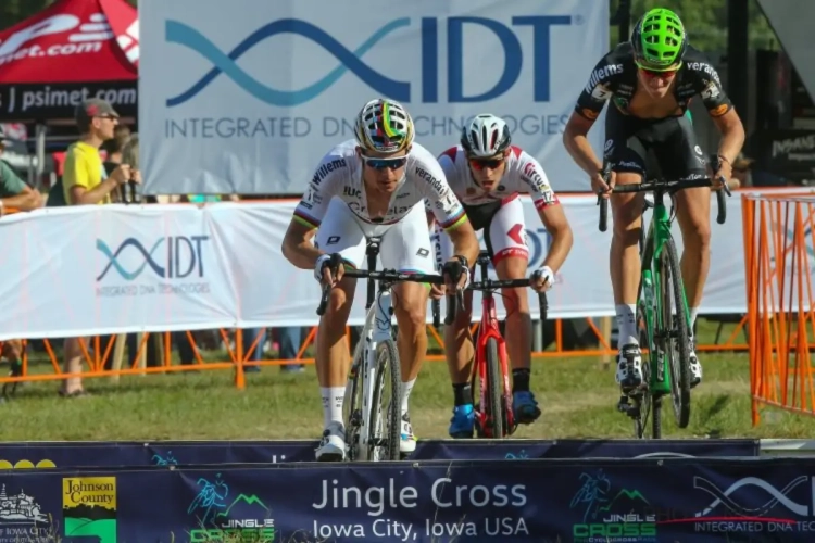 Nieuwe Koppenbergcross belooft spektakel: "Dit is een parcours waar je als renner bang van wordt"