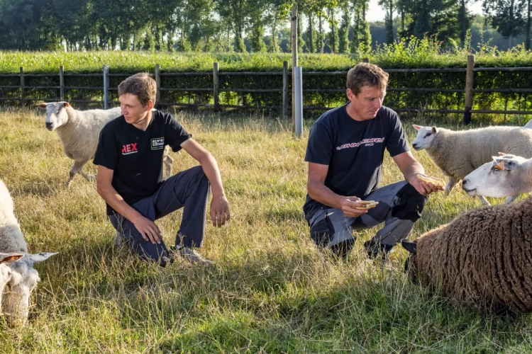 Belg grijpt de macht in de Ronde van de Toekomst