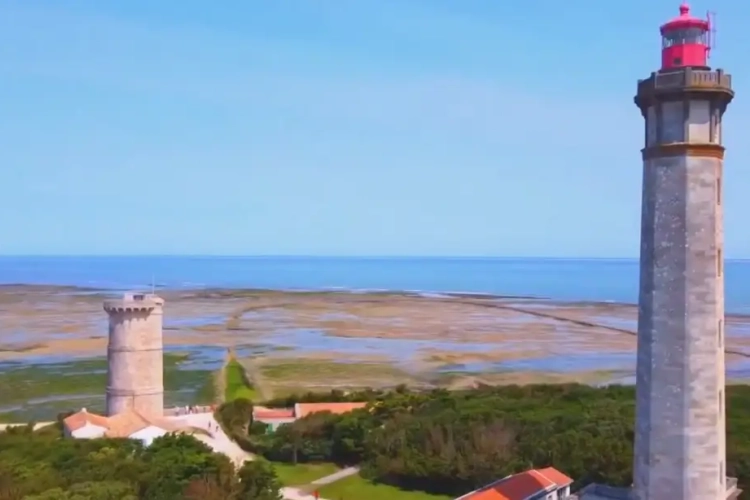 Ronde van Frankrijk 2020 - Rit 10: Île d'Oléron - Île de Ré Saint-Martin-de-Ré: waaiergevaar, kans op nieuwe ritzege voor Ewan, Kristoff en Sagan