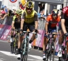 De gok van Roglic en Nibali: breekt dit hen later nog op?