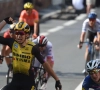 Ploegleider Deceuninck-Quick.Step heeft stiekem ook genoten: "Niemand ziet Wout nog als een 'crosserke'"