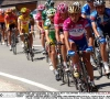 Paolo Bettini beleefde een geweldige Giro in 2005