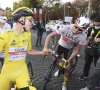 Wat een weelde bij UAE Emirates: Ronde van Vlaanderen-winnaar zal in dienst rijden van Tadej Pogacar