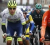 Danny van Poppel kopman van Circus-Wanty Gobert in Driedaagse Brugge-De Panne