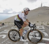 Offensieve Alaphilippe en standhoudende Cavendish op Ventoux voor Wolfpack: "Geweldig als eerste boven te komen"