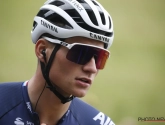 Ploegbaas van Mathieu van der Poel is insinuaties beu: "Lachwekkend"