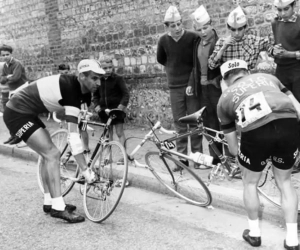 Meesterknecht Van Steenbergen en Van Looy is niet meer