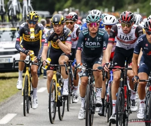 Hét trieste wapenfeit van de dag: vrouwelijke toeschouwer met kartonnen bord doet het hele Tour-peloton vallen