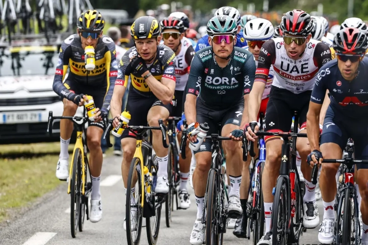 Hét trieste wapenfeit van de dag: vrouwelijke toeschouwer met kartonnen bord doet het hele Tour-peloton vallen